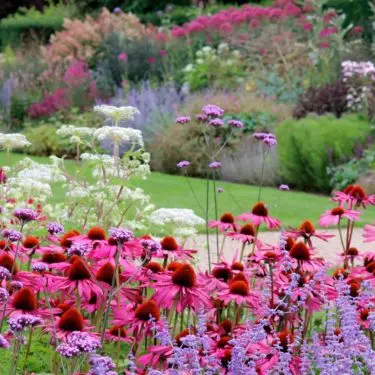 Flot bed i en fart - stauder i kassevis